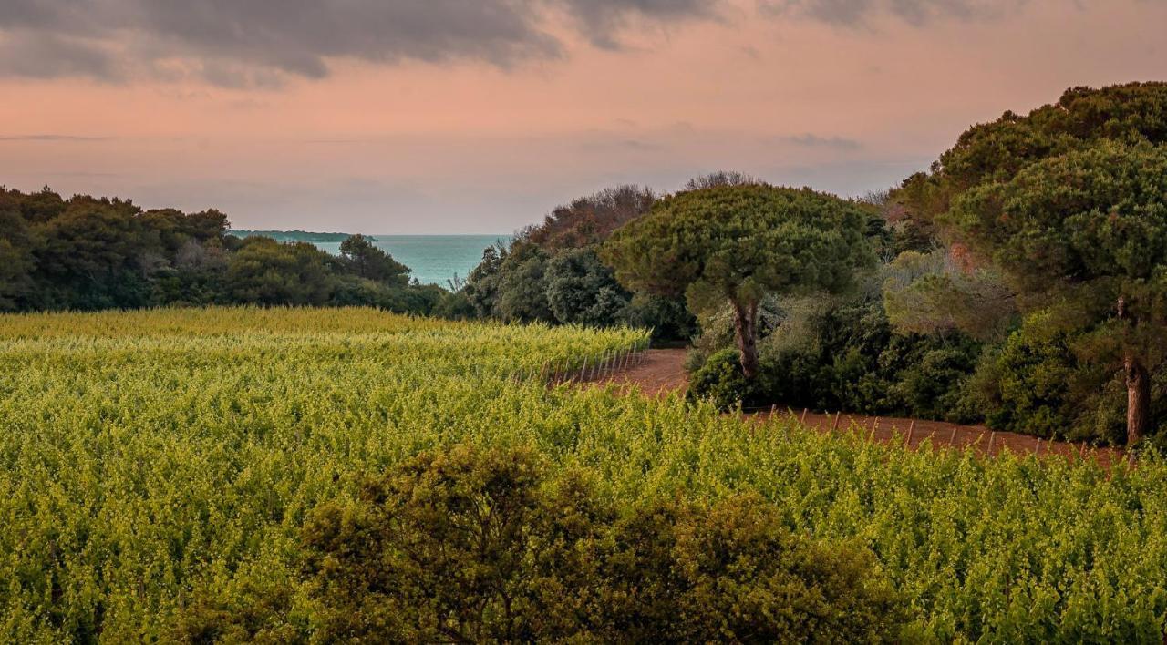 Masseria Mongio Dell'Elefante Otranto Exteriör bild