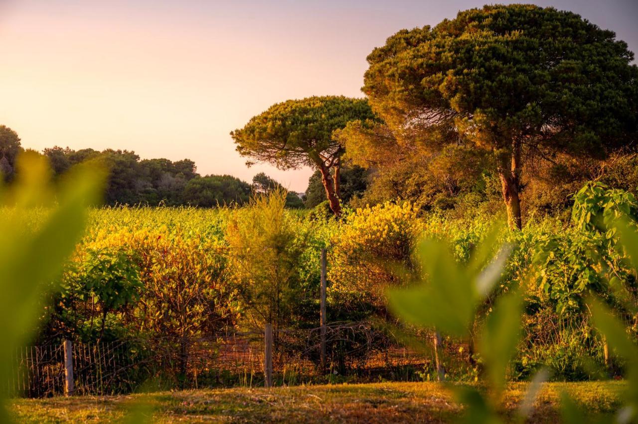 Masseria Mongio Dell'Elefante Otranto Exteriör bild