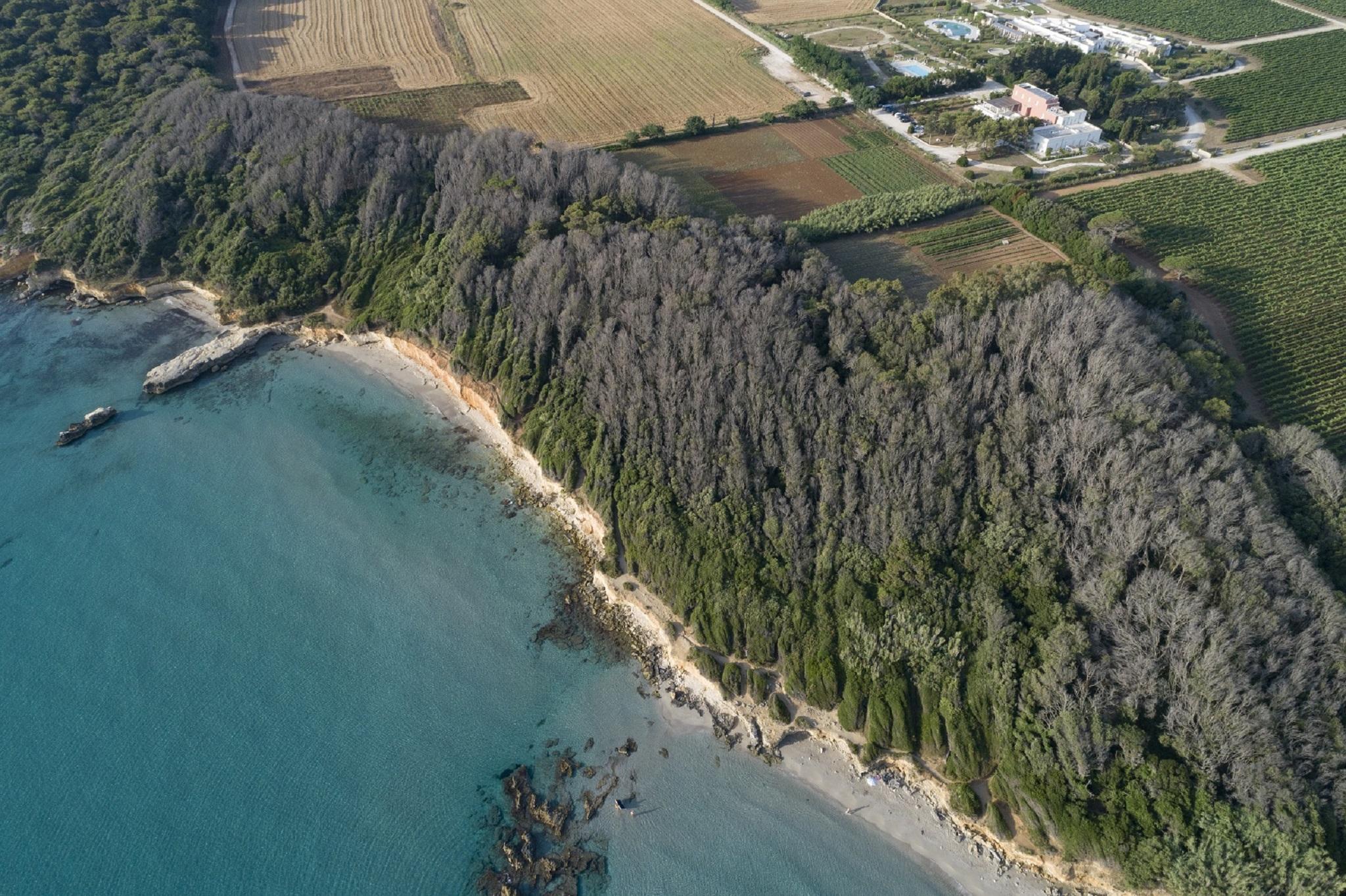 Masseria Mongio Dell'Elefante Otranto Exteriör bild